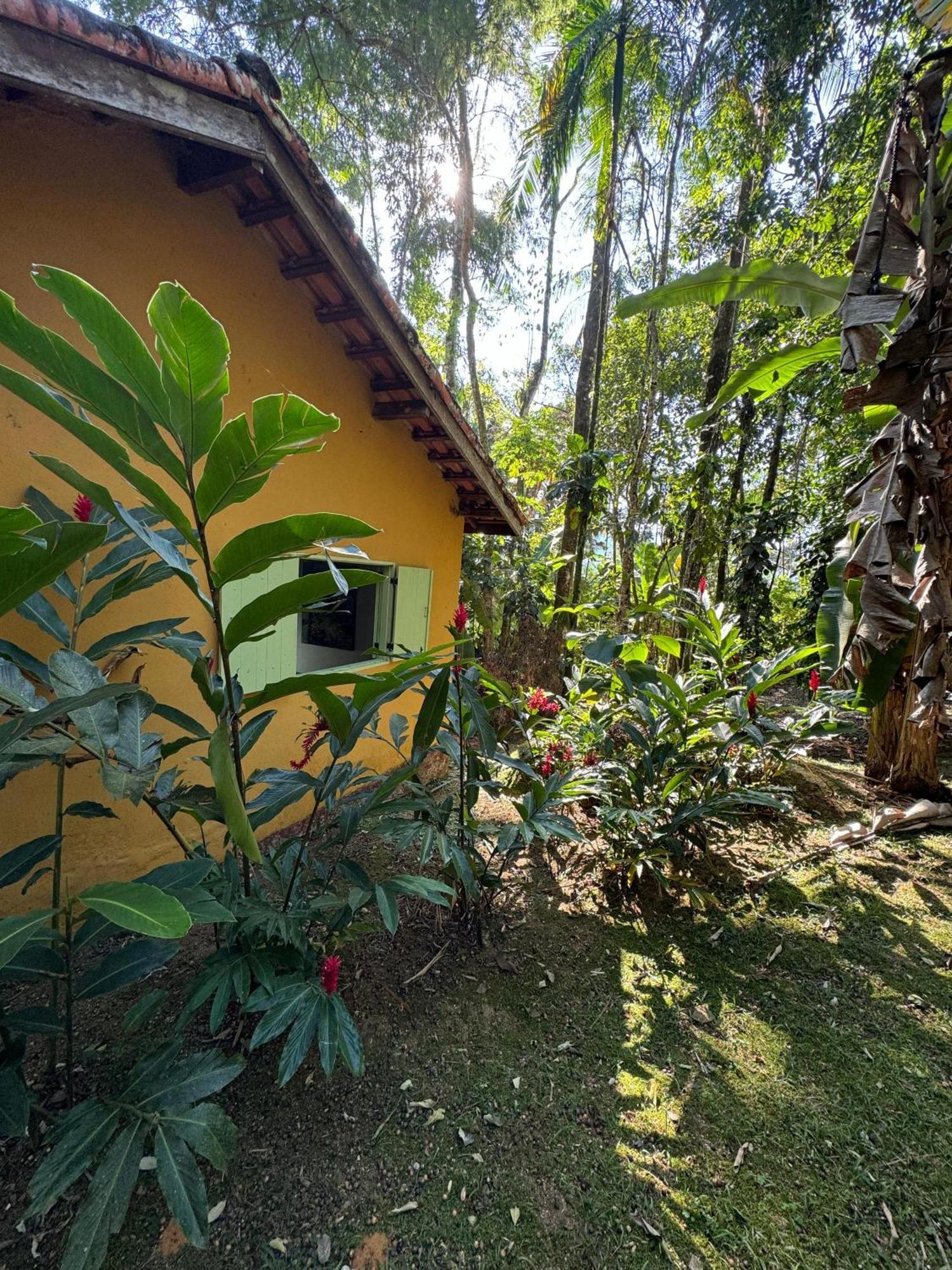 Standard Bungalow,1658788155:JPEG
